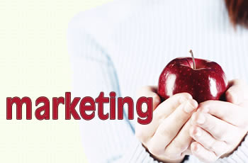 marketing1 - Sự khác biệt giữa marketing cho người tiêu dùng (B2C) và cho doanh nghiệp (B2B)